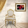 thumbnail image 3 of Ronin 32x23 Gold Ornate Wood Framed with Double Matting Museum Art Print Titled - Parrot Wings, 3 of 4