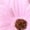 Pink, variant on Women's 3D Daisy Cross Strap Ballet Flats French Retro Slip On Shoes with Cushioned Insole for Work Date Khaki