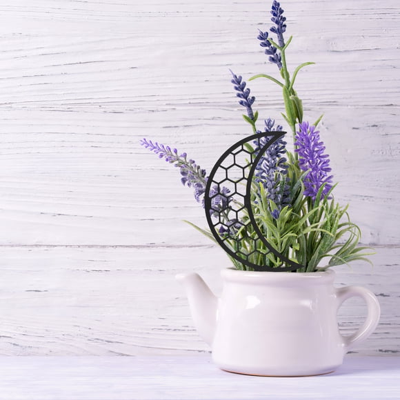 HEALEEP 2Ud Estructura De Apoyo Para Plantas Trepadoras En Maceta Color Negro Resistente Y Decorativa
