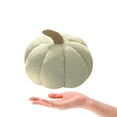 thumbnail image 4 of AURIGATE Fleece Pumpkin Throw Pillows, Happy Halloween Sherpa Fall Decorative Pumpkin Shaped Pillow Cute 3D Shaped Cushion, 5 x 8 inches, 4 of 4