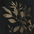 thumbnail image 2 of Nan 12x12 Gold Ornate Wood Framed with Double Matting Museum Art Print Titled - Noir and Natural Leaves II, 2 of 4