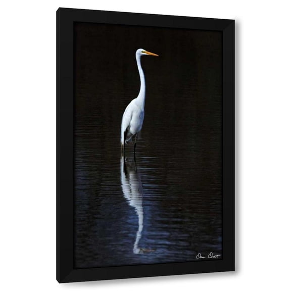 David Drost 10x14 Black Modern Wood Framed Wall Art Titled - Elegant Egret II