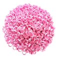 thumbnail image 1 of Anneaux de Colle pour Extension de Cils, 400 Pcs Anneaux de Colle pour Colle, Support d'Anneau de Colle pour Cils, 400 x Anneaux de Colle Intelligents, Rose, 1 of 6
