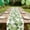 Style D, variant on Tunhigl St. Patrick's Day Table Runner 72 Inches Long Green Clover Printed for Dining Tables, TV Stands, Sideboards Green