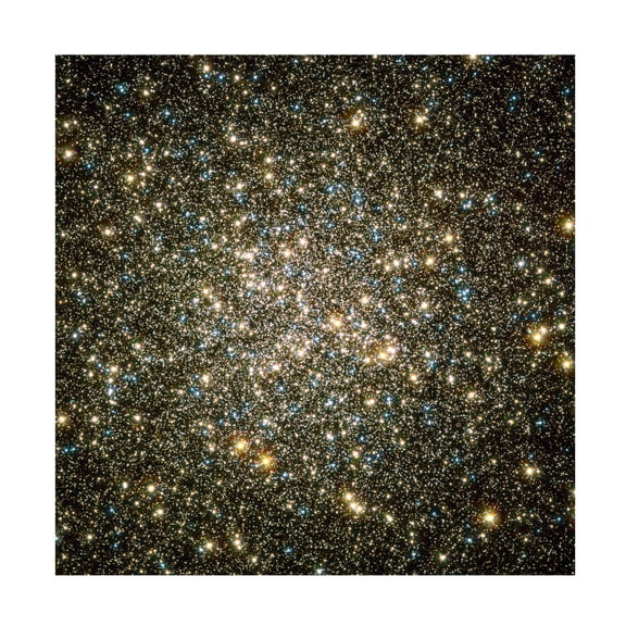 Print Collection 'A Celestial Snow Globe of Stars' Canvas Art