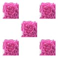 thumbnail image 1 of Relleno de papel triturado de hierba de Pascua Injueey DIY confeti decoración de boda Rosa roja 5Conjunto, 1 of 6