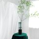 thumbnail image 1 of Florero de vidrio multifuncional Maceta Maceta Centros de mesa Decoraciones Escritorio Plantas modernas Maceta para sala de estar, dormitorio, hogar, Estilo C 10x10x29cm Macarena florero, 1 of 8