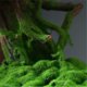 thumbnail image 4 of Bonsái de pino artificial de bienvenida, adorno for sala de estar, plantas verdes falsas, decoración de oficina, 4 of 7