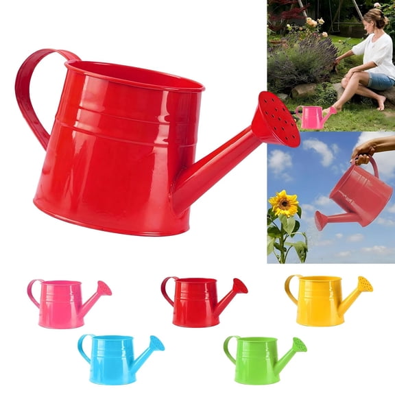 Metal Watering Can for Indoor Outdoor Plants, Galvanized Steel Long Spout Plant Watering Kettle, 1L/35oz Garden Watering Can