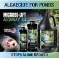 thumbnail image 7 of Microbe-Lift Pond Algaway 5.4 Algaecide for Ponds Stops Algae Growth, 7 of 7