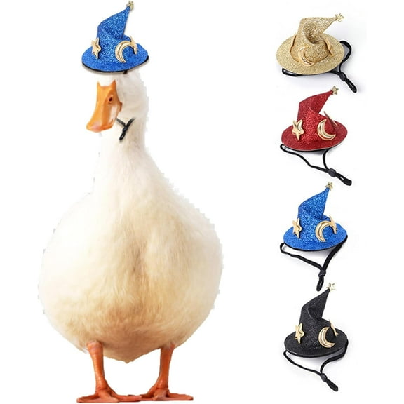 GYTY 4-Pack Duck Halloween Wizard Pet Hats - Elastic Chin Strap for Small Animals Hamster Bearded Dragons Chinchillas Ferrets Guinea Pigs Birds- Cosplay Party Dress-Up Apparel Outfit