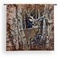 thumbnail image 2 of Birchwood Buck, 2 of 2