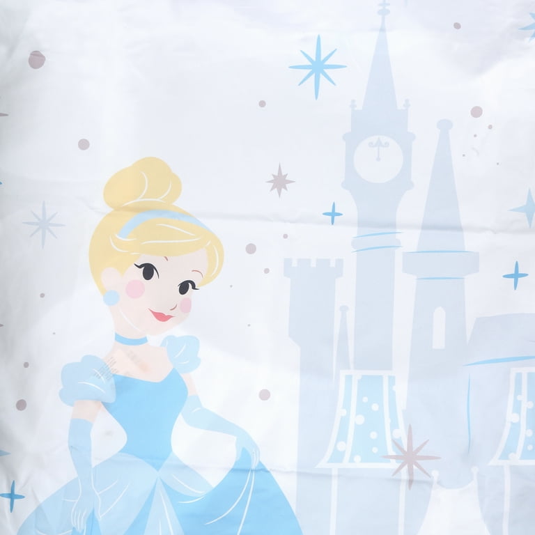 Disney Princess Cinderella - Light Blue and White Photo Op