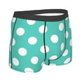 thumbnail image 3 of Daiia Teal Turquoise And White Polka Dot Men's Underwear Boxer Briefs, Cotton Stretch Moisture-Wicking Underwear-Small, 3 of 9