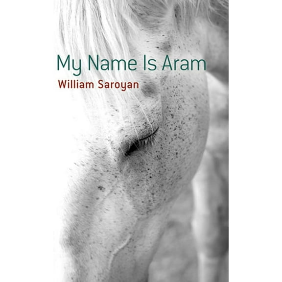 Dover Literature: Short Stories My Name Is Aram, (Paperback)