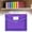 Purple, variant on 1x Plastic Expandable File Folder Transparent Document Organizer A4, Clearance Yellow Clearance Sale!