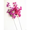 thumbnail image 2 of 10 pcs Silk Bougainvillea Fake bougainvillea spectabilis more Flower heads for Wedding Centerpieces Home Party Artificial Decorative Flower, 2 of 9