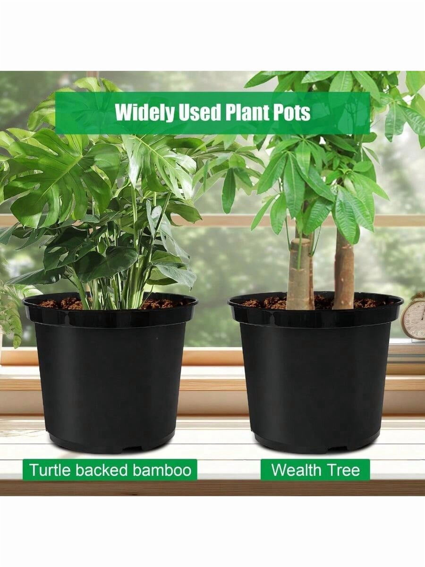 5 Gallon 12 Inch Plastic Nursery Pots Plant Containers With Drainage Holes Round Sturdy Garden Planters For Indoor Outdoor Greenery Gardening Gifts For Women 5Pack Black
