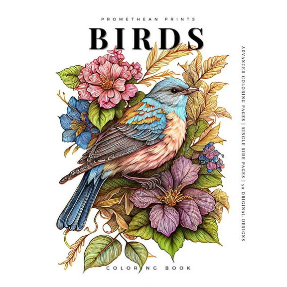 Birds (Coloring Book), (Paperback)