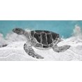 thumbnail image 2 of Fay, Mela 18x11 White Modern Wood Framed Museum Art Print Titled - Turtle, 2 of 4