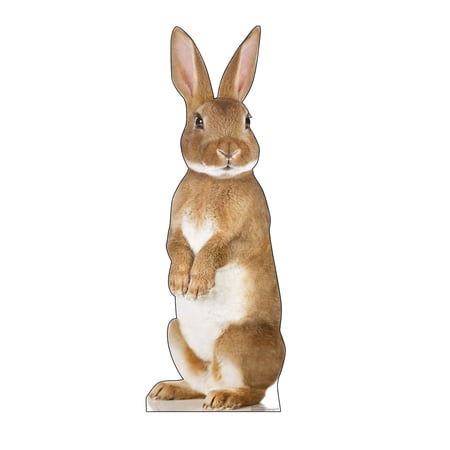 Advanced Graphics Bunny Rabbit Life Size Cardboard Cutout Standup