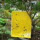 thumbnail image 1 of Trampas adhesivas para insectos, 50 unidades, trampas para insectos amarillas de doble cara, trampas adhesivas amarillas, máxima confiabilidad Jadeshay A, 1 of 8