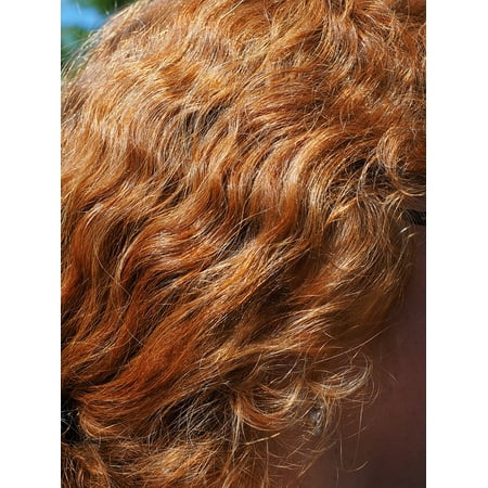 L N Stick Poster Of Shimmer Copper Color Shine Red L N Stick Poster Of Shimmer Copper Color Shine Red Hair 24x16 Adhesive Sticker Print