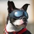 thumbnail image 4 of Goggles Adjustable Sun Glasses Windproof Fog Eyewear for outdoor Photo Props Skiing Small Medium Large, 4 of 8