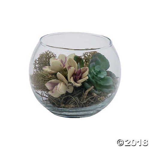 Small Round Glass Vase With Succulents Com Small Round Glass Vase With Succulents, Short Round Flower Vases