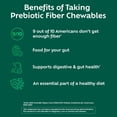 thumbnail image 5 of Benefiber Chewable Prebiotic Glp-1 Friendly Fiber Supplement Tablets for Digestive Health, Assorted Fruit Flavors - 100 Count, 5 of 14