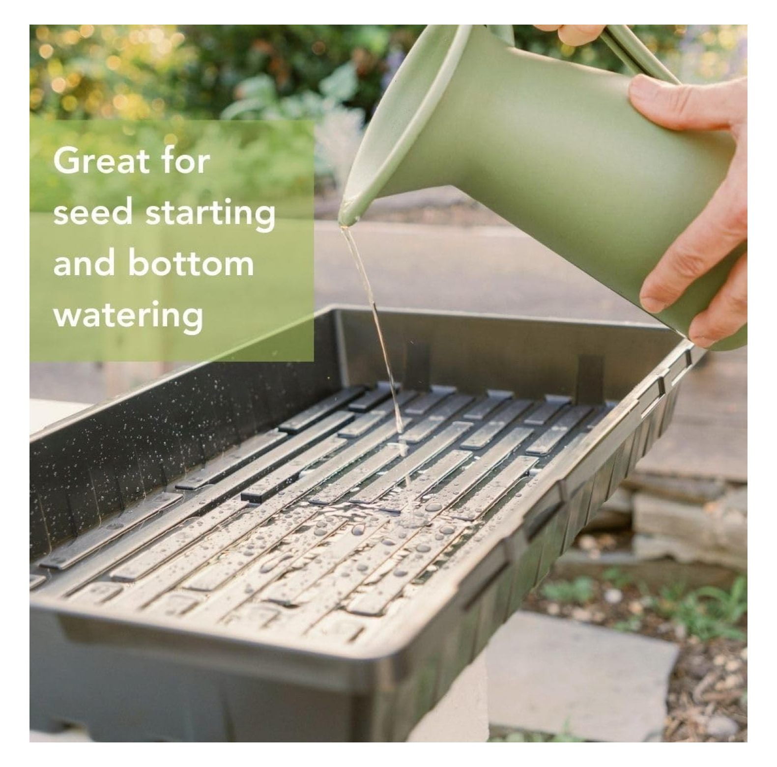 Reusable Seed Starting Trays - Extra Strength No Holes Trays, 5-Pack, for Propagation, Seed Starter, Plant Germination, Seedling Flat, Fodder