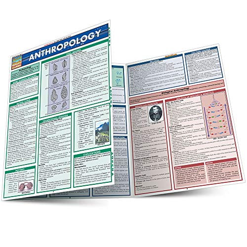 Pre-Owned Anthropology (Quick Study Academic) Paperback