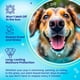 thumbnail image 5 of Bálsamo para nariz y patas para perros Handy Hound SnoutScreen 60 ml, 5 of 8