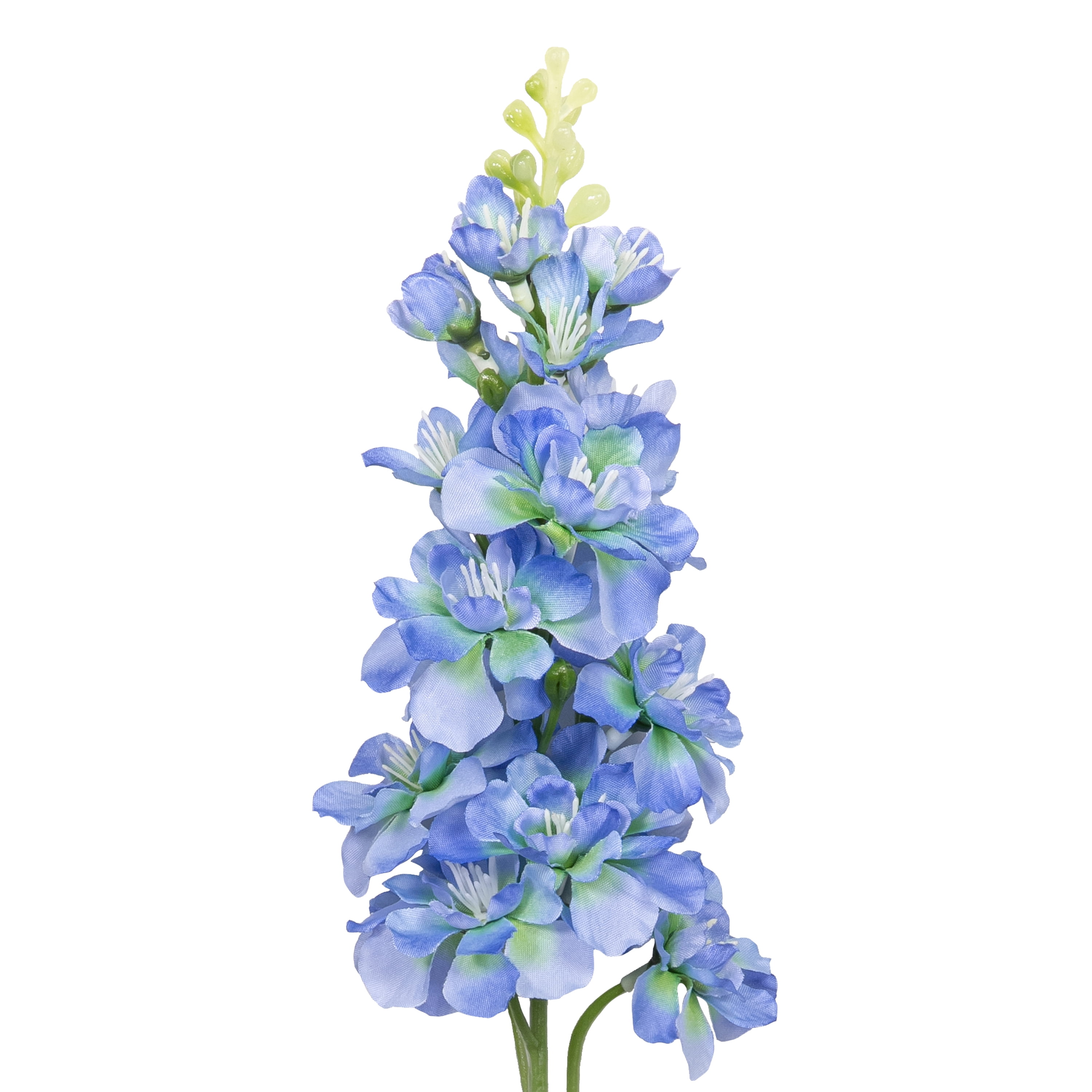 ❗️新品未開封❗️ PERFFCT BLUE パーフェクトブルー　1BOX T12 楽天市場】【即日発送可】ゼット（ZETT） BPCPRO25K 硬式用