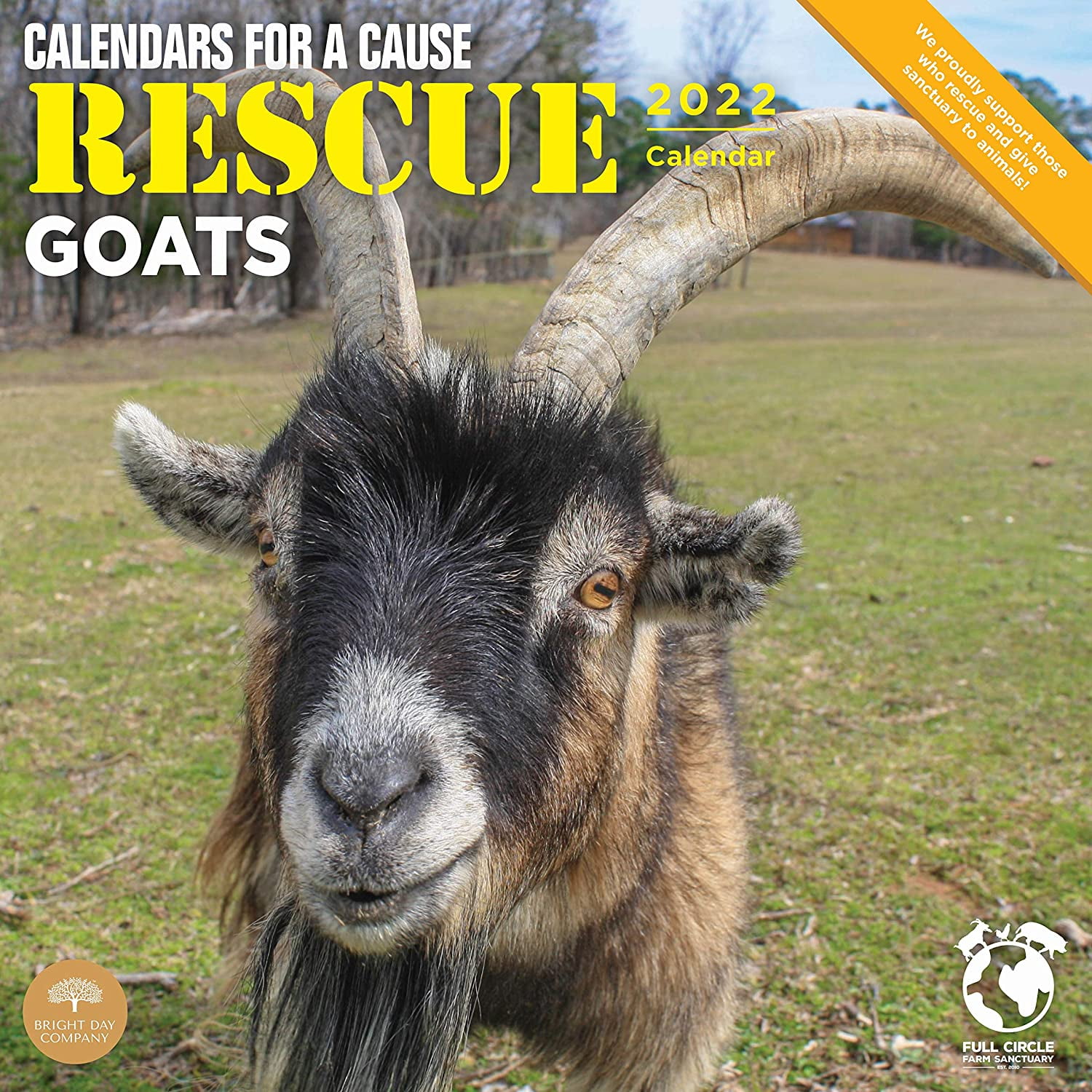 2022 Rescue Goats Calendars for a Cause Wall Calendar by Bright Day, 12 x 12 In