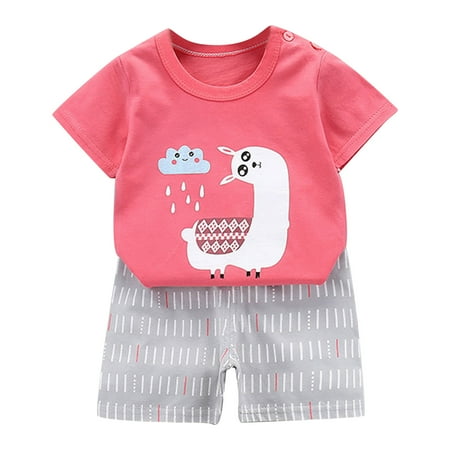 

Summer Savings Clearance! PEZHADA Summer Baby and Toddler Boys Casual Suit Girls Fashion Cute Short Sleeve Cartoon Print Casual Suit Two Piece Sets Hot Pink