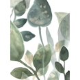 thumbnail image 2 of Vess, June Erica 15x18 Black Ornate Wood Framed with Double Matting Museum Art Print Titled - Water Leaves I, 2 of 4