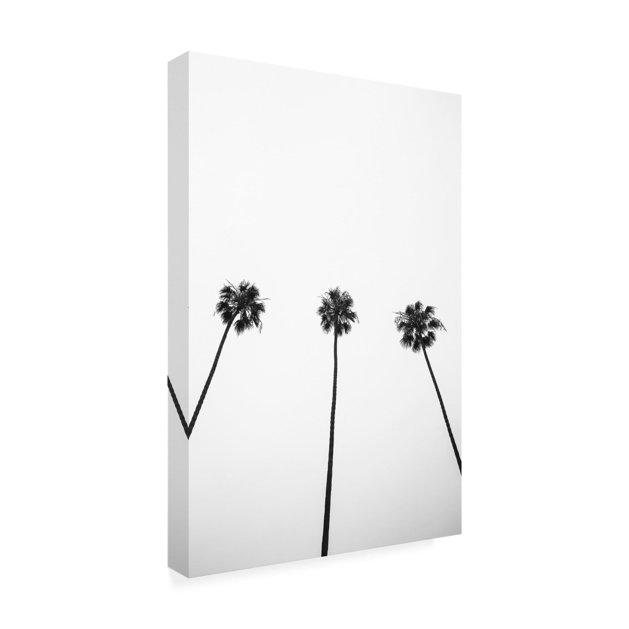 Trademark Fine Art Shot by Clint Cali Cathedrals 02 Canvas Wall Art