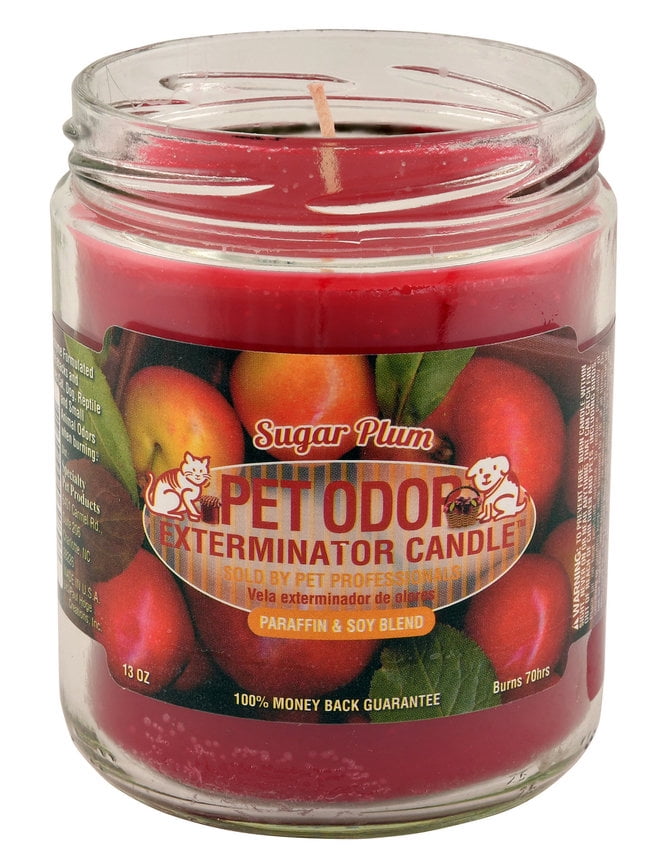 Pet Odor Exterminator Candle, Sugar Plum - Walmart.com ...
