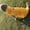 Autre, variante sur TIMIFIS Cat Tenue de Noël pour Chien Cat Costume Vêtements pour Chien en Automne et Hiver Vêtements en Polaire pour Animaux avec Gilet des Deux Côtés
