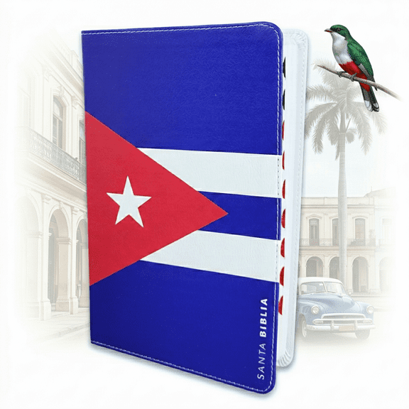 Biblia Letra Grande 12 puntos RV1960 imit piel con indice - Cuba