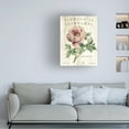 thumbnail image 2 of Trademark Fine Art 'Pivoine de Printemps' Canvas Art by Sue Schlabach, 2 of 4