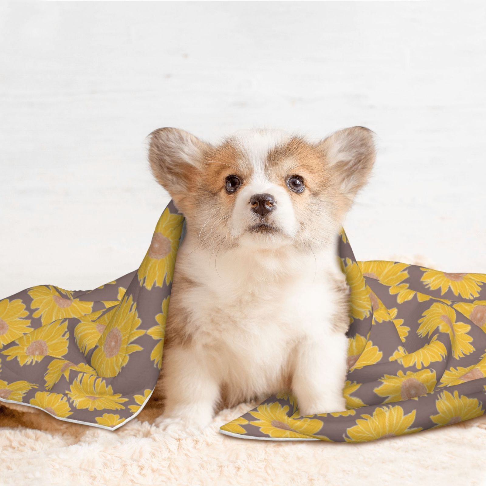 Naloa Sunflower Dog Blanket, 3 Sizes Cat Blanket for Indoor Cats Large Medium Small Dog Gifts-Medium