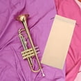 thumbnail image 4 of FESTFENDS Elegant Craftsmanship Trumpet Travel Bag Dustproof Design For Musicians 1Pcs, 4 of 8