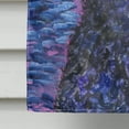 thumbnail image 4 of Carolines Treasures SS8354CHF Starry Night Curly Coated Retriever Flag Canvas - House Size, 4 of 4