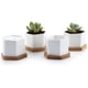 thumbnail image 1 of FloreceBien - Macetas pequeñas blancas para suculentas con bandeja de bambú, juego de 4 unidades, diseño hexagonal, soporte geométrico para plantas de cactus, para el hogar, la oficina, la mesa, el, 1 of 8