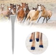 thumbnail image 3 of Clavo para pezuña, 250 piezas/caja Herramienta de herradura de acero con bajo contenido de carbono Clavo de herradura Integración perfecta, 3 of 8