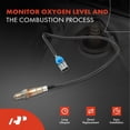 thumbnail image 2 of A-Premium O2 Oxygen Sensor Compatible with Kia Soul 2021-2021, Forte 2020-2020 & Hyundai Veloster 2019-2021, 1.6L, Downstream, 2 of 9