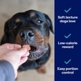 thumbnail image 4 of Covetrus Nutrisential Lean Treats for Large Dogs - Soft Dog Treats for Large Dogs - Nutritional Low Fat Bite Size K9 Treats - Chicken Flavor - 10oz -1 Pack, 4 of 7