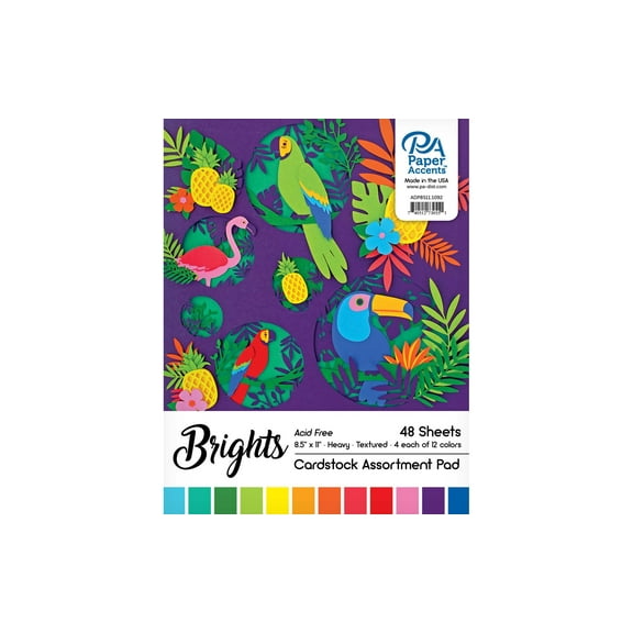Paper Accents Cardstock Pad 8.5"x 11" Brights Assortment 48pc